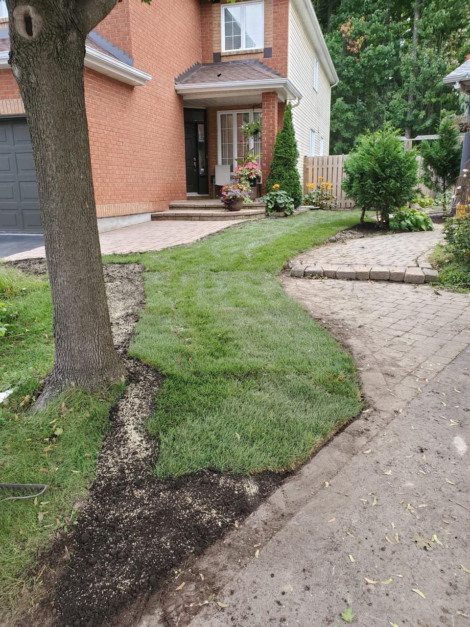 LANDSCAPING